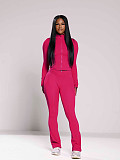 Casual Solid Color Women Long Sleeves Bodycon Flared Two-piece Set CH-24057
