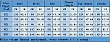 Plus Size Sets Women Stripes Irregular Long Tops And Wide-leg Pants NNWY-8046