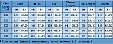 Plus-size Women's Printed Blazer And Long Pants Casual Two Pieces Sets NNWY-6068