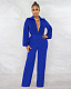 Elegant Solid Long Sleeve Deep V Straight Jumpsuits AIL-224