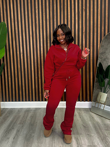 Casual Women Solid Color Turndown Collar Hoodie And Sporty Pants 2 Pieces Sets SFY-605