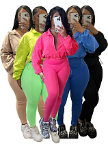 Women Solid Color Long Sleeves Zipper Bodycon Pants Leisure Sets CH-24047