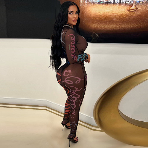 Sexy Print Transparent Mesh Bodysuit And Long Pants Suits YNS-2629