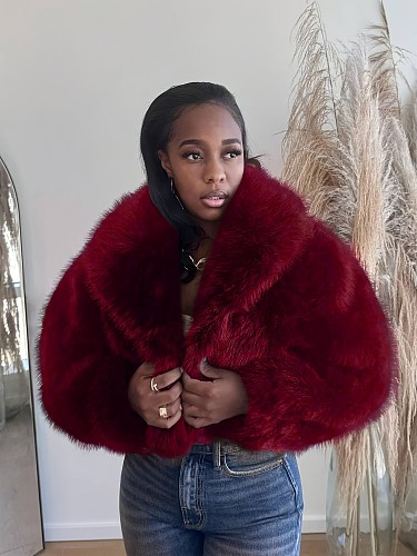 Autumn Winter New Lapel Long Sleeves Artificial Fur Short Coat SH-391303