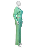 Leisure Women Lapel Collar Zipper Long Sleeve Long Pants 2 Pieces Sets CH-24065