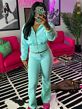 Leisure Women Lapel Collar Zipper Long Sleeve Long Pants 2 Pieces Sets CH-24065