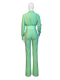 Leisure Women Lapel Collar Zipper Long Sleeve Long Pants 2 Pieces Sets CH-24065
