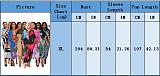 Fashion Printed Women Batwing Sleeve V-neck Maxi Dress YF-10263