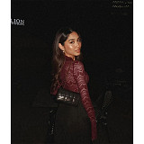 Deep V Slim Lace Long Sleeve Spice Girl Style Lace Top ASL-6772