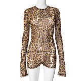 Women's Round Neck Leopard Print Mesh Hollowed-out Backless Button Romper RS-D24RP687