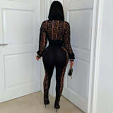 Black Mesh Long Sleeve Blouse And Bodycon Pants Sexy Two Pieces Sets YNS-2671