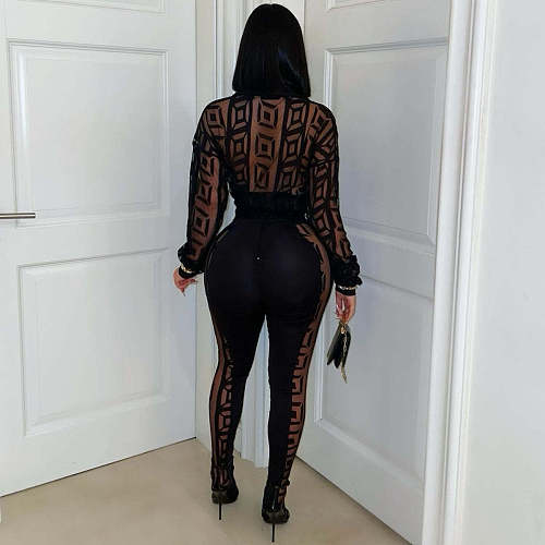 Black Mesh Long Sleeve Blouse And Bodycon Pants Sexy Two Pieces Sets YNS-2671