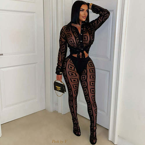 Black Mesh Long Sleeve Blouse And Bodycon Pants Sexy Two Pieces Sets YNS-2671