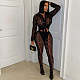Black Mesh Long Sleeve Blouse And Bodycon Pants Sexy Two Pieces Sets YNS-2671