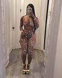 Sexy Leopard Printed Mesh Women Long Sleeves Pants 2 Pieces Sets RS-700720