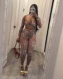 Sexy Leopard Printed Mesh Women Long Sleeves Pants 2 Pieces Sets RS-700720
