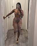 Sexy Leopard Printed Mesh Women Long Sleeves Pants 2 Pieces Sets RS-700720