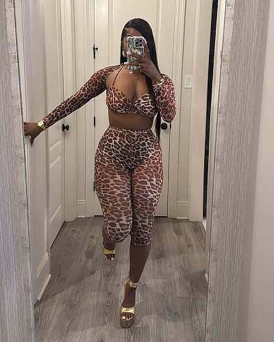 Sexy Leopard Printed Mesh Women Long Sleeves Pants 2 Pieces Sets RS-700720