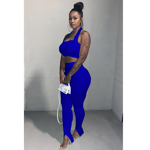 Women's Solid Hanging Neck Crop Top Pencil Pants 2 Piece Outfits TR-1103