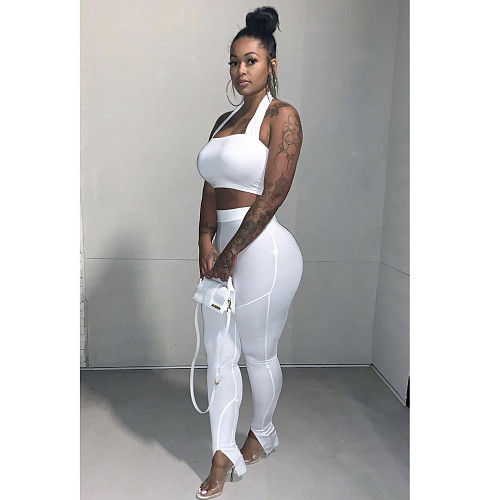 Women's Solid Hanging Neck Crop Top Pencil Pants 2 Piece Outfits TR-1103