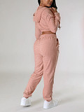 Casual Women Zipper Hoodies And Long Pants Suits YH-5313