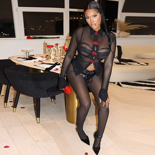 Black Long sleeve inlaid brick lip button mesh shirt + leather mesh pants two-piece set YNS-2678