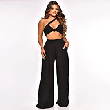 Skew Collar Crop Top Wide Leg Pants Two Piece Set YF-10157