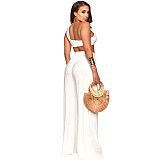 Skew Collar Crop Top Wide Leg Pants Two Piece Set YF-10157