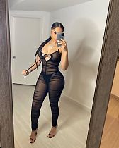 Women's See-through Pleated Sleeveless Mesh Bodycon Jumpsuit NIK-233