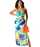 Floral Print V Neck Backless Slit Bodycon Maxi Dress HANI-025