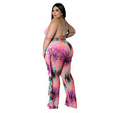 Beach Halter Bra Mesh Ruffles Pants 3 Piece Bikini Set HANI-016