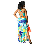 Floral Print V Neck Backless Slit Bodycon Maxi Dress HANI-025