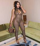 2025 Sexy Leopard Printed Women Mesh Zipper Bodycon Jumpsuit MEM-88623