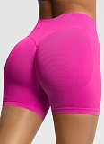 Women's Fitness Shorts High Waist Hip Lifting Sports Shorts Tight Quick Dry Yoga Shorts