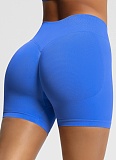 Women's Fitness Shorts High Waist Hip Lifting Sports Shorts Tight Quick Dry Yoga Shorts