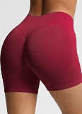 Women's Fitness Shorts High Waist Hip Lifting Sports Shorts Tight Quick Dry Yoga Shorts