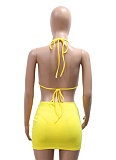Summer Seaside Holiday Style Swimsuit Bikini Tie Skirt Three-Piece Suit For Women