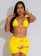 Summer Seaside Holiday Style Swimsuit Bikini Tie Skirt Three-Piece Suit For Women