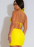Summer Seaside Holiday Style Swimsuit Bikini Tie Skirt Three-Piece Suit For Women