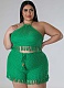 Tassel Fishnet Knitted Vest Shorts Plus Size Casual Two Piece Set Wholesale