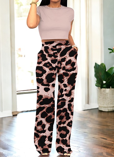 Casual Short Sleeve Round Neck Top Printed Trousers Two-Piece Set Wholesale