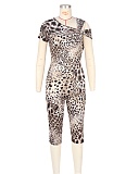 Irregular Shoulder Sexy Slim Fit Leopard Print Jumpsuit For Women