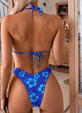 Printed Low-Rise Sexy Two-Piece Bikini Swimsuit