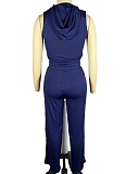 Colorblock Hooded Sleeveless Top and Drawstring Trousers Two-Piece Set