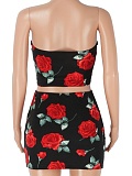 Summer New Tube Top Printed Top Short Skirt Hot Girl Two Piece Set