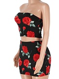 Summer New Tube Top Printed Top Short Skirt Hot Girl Two Piece Set