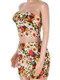 Summer New Tube Top Printed Top Short Skirt Hot Girl Two Piece Set