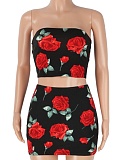 Summer New Tube Top Printed Top Short Skirt Hot Girl Two Piece Set