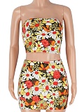 Summer New Tube Top Printed Top Short Skirt Hot Girl Two Piece Set
