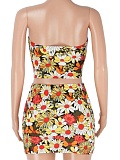 Summer New Tube Top Printed Top Short Skirt Hot Girl Two Piece Set